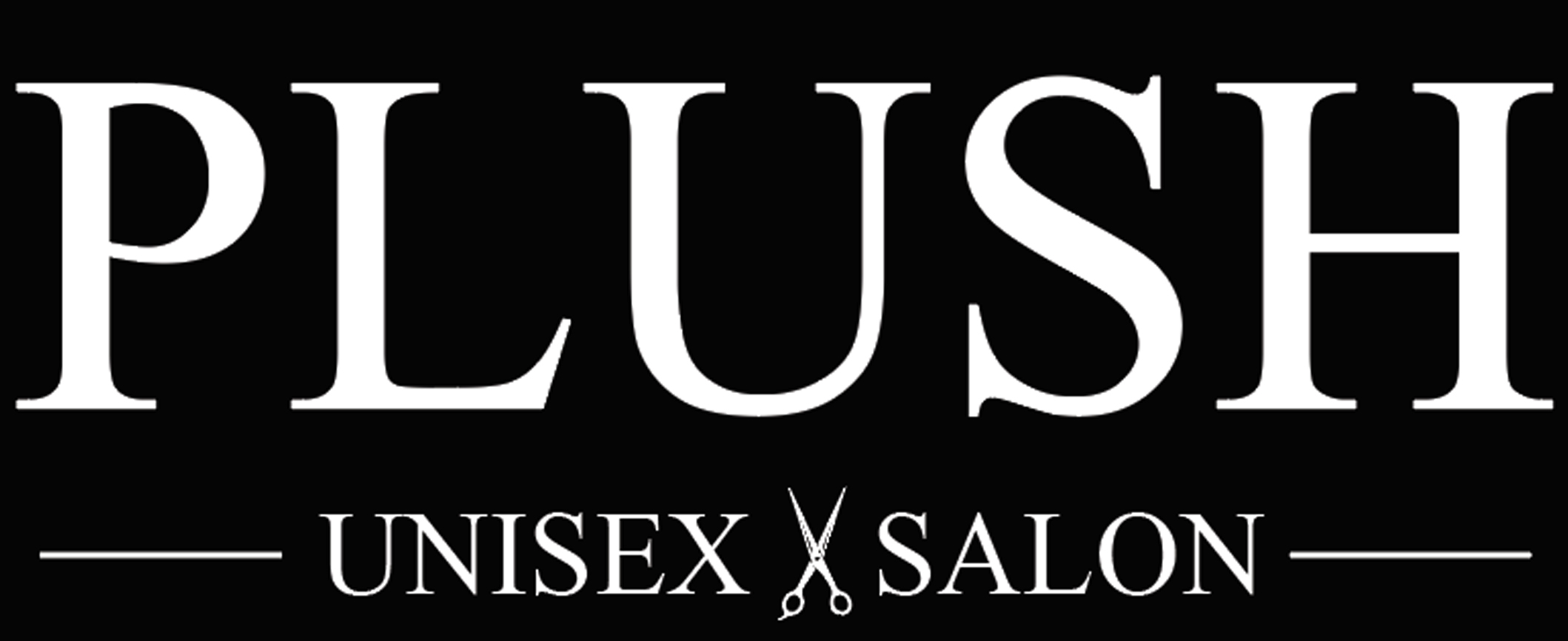 Plus Logo